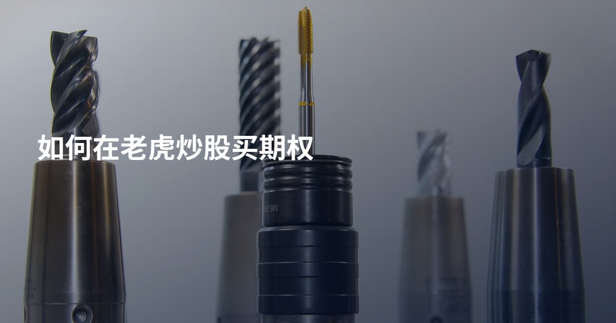 如何在老虎炒股买期权