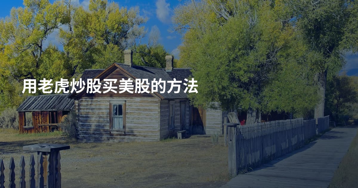 用老虎炒股买美股的方法
