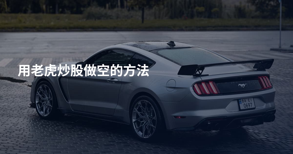 用老虎炒股做空的方法
