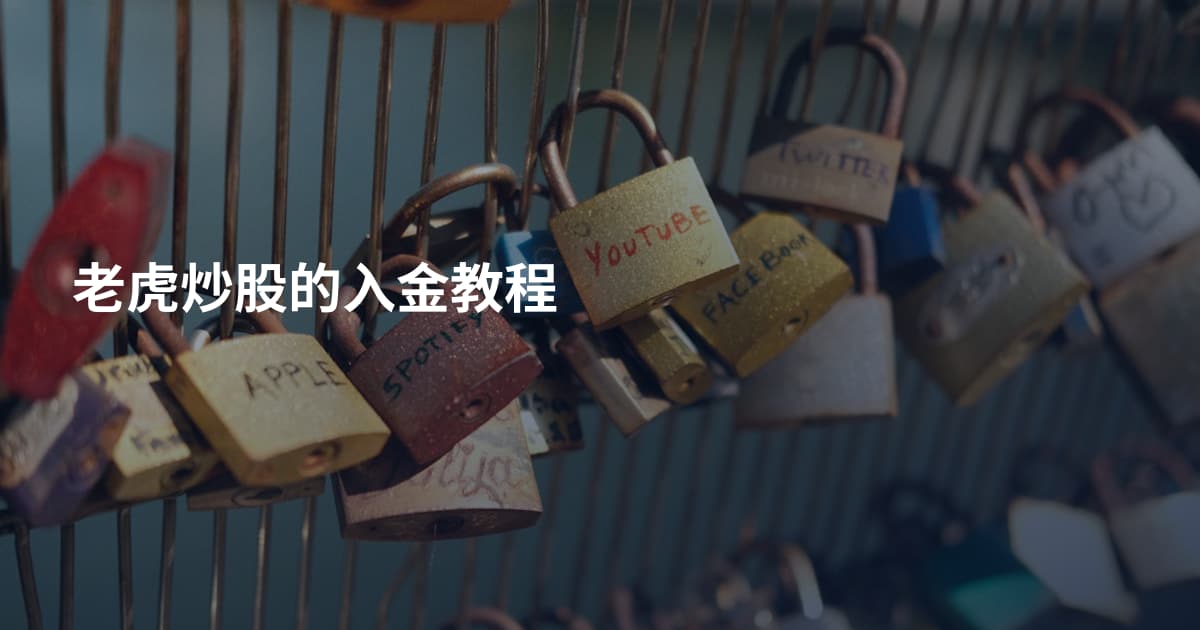 老虎炒股的入金教程