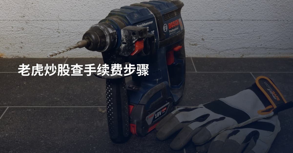老虎炒股查手续费步骤