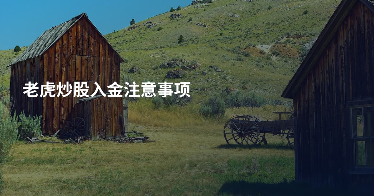 老虎炒股入金注意事项