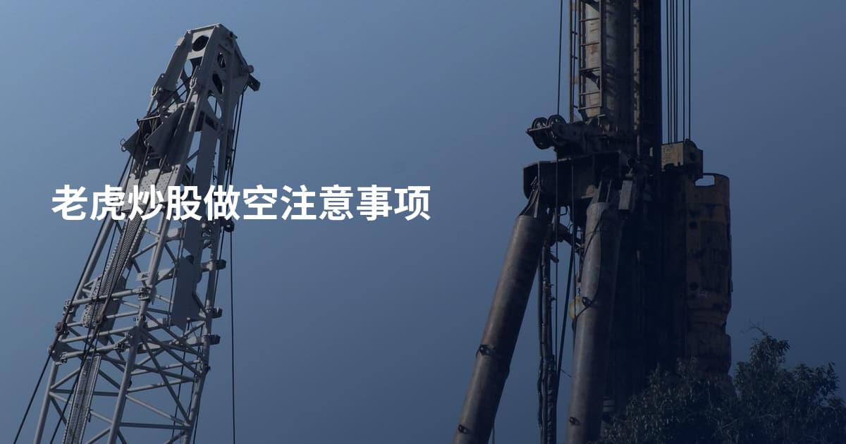 老虎炒股做空注意事项