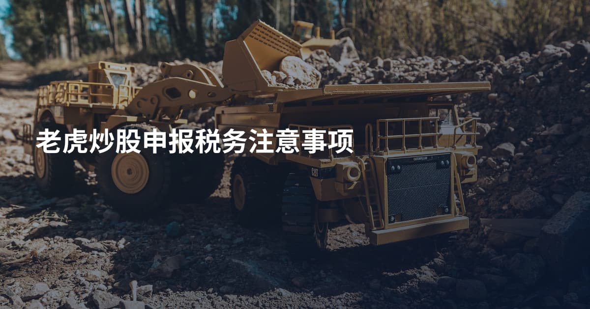 老虎炒股申报税务注意事项