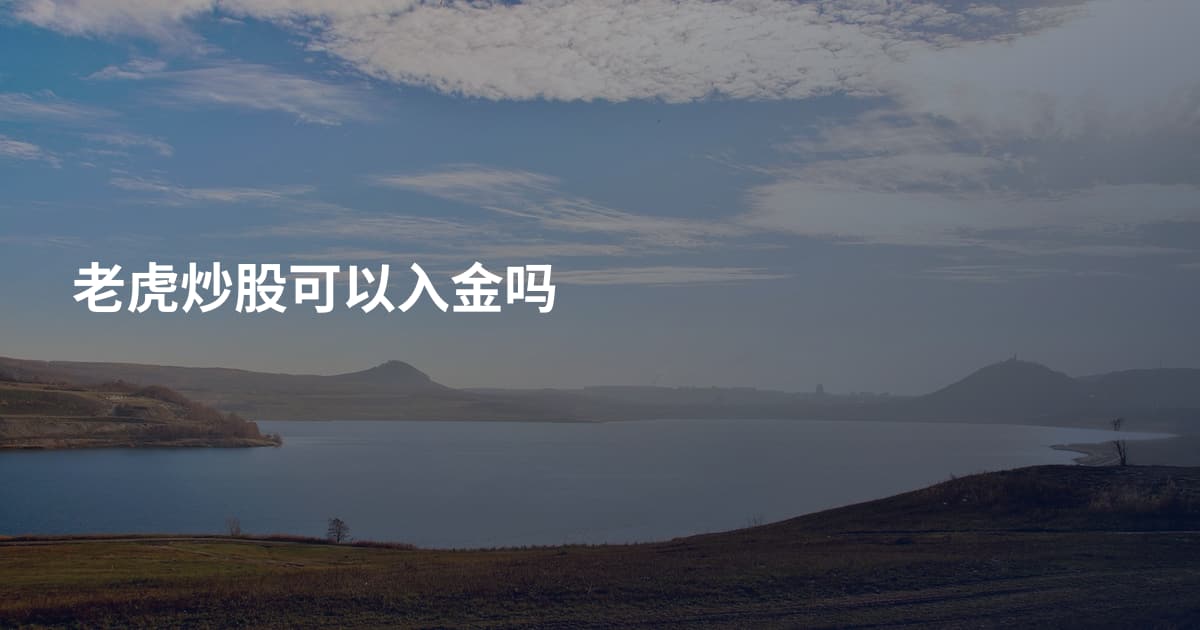 老虎炒股可以入金吗
