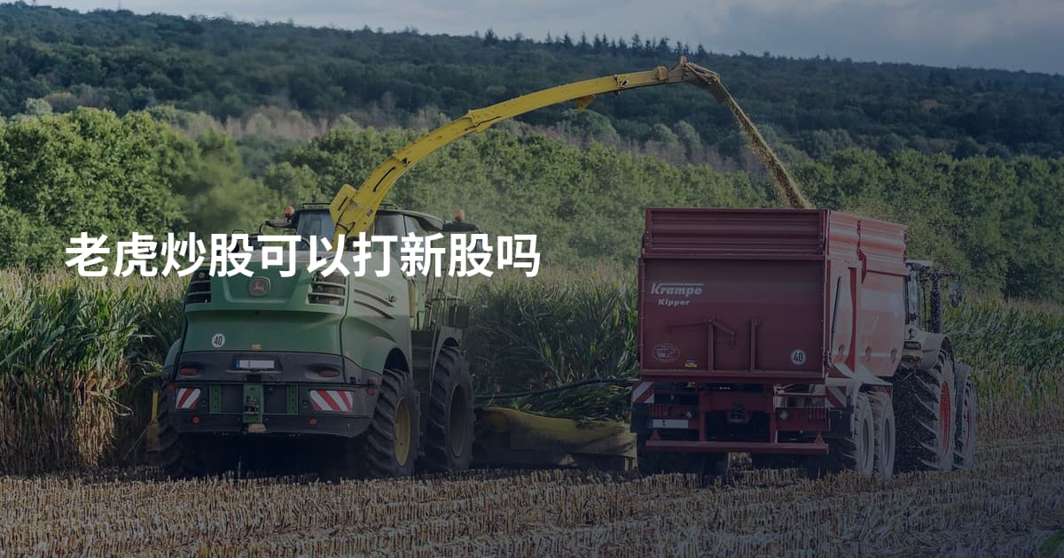 老虎炒股可以打新股吗