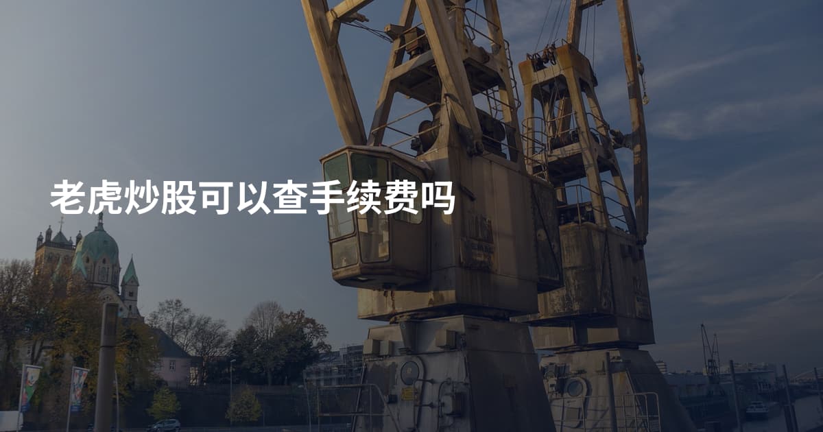 老虎炒股可以查手续费吗