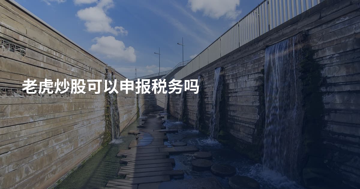 老虎炒股可以申报税务吗