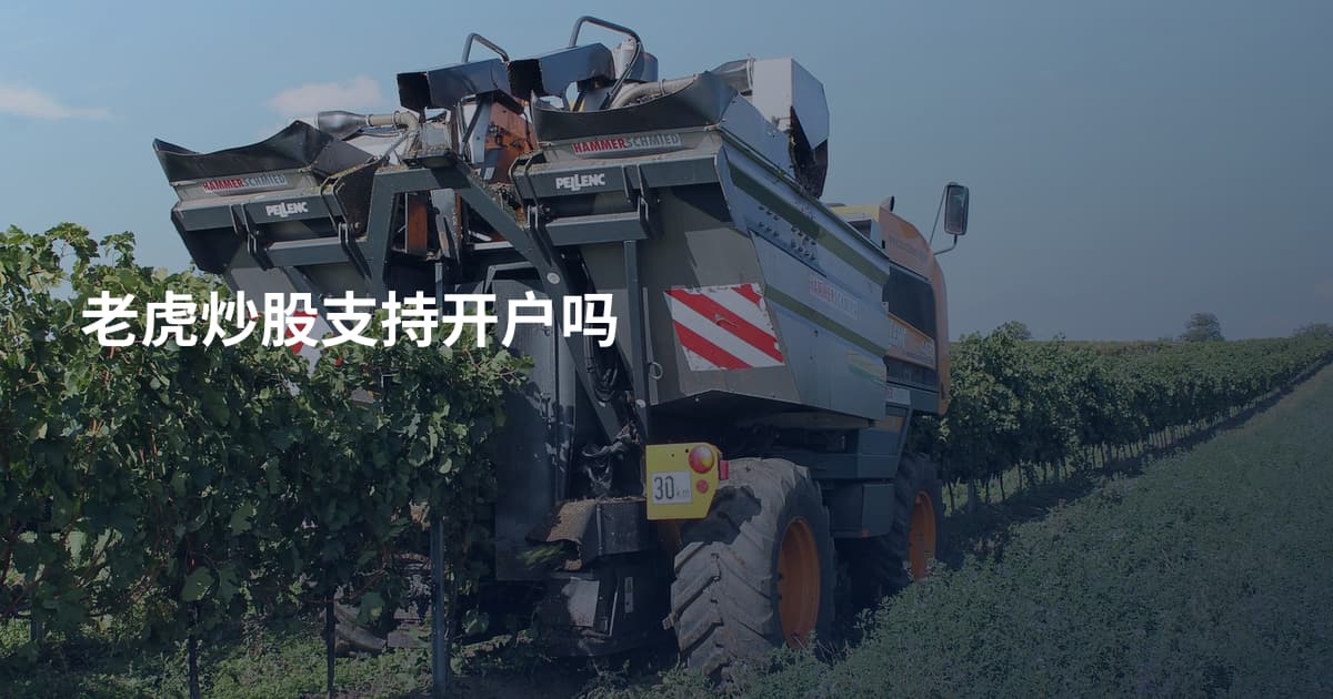 老虎炒股支持开户吗