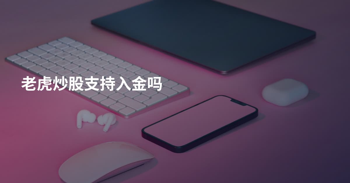 老虎炒股支持入金吗