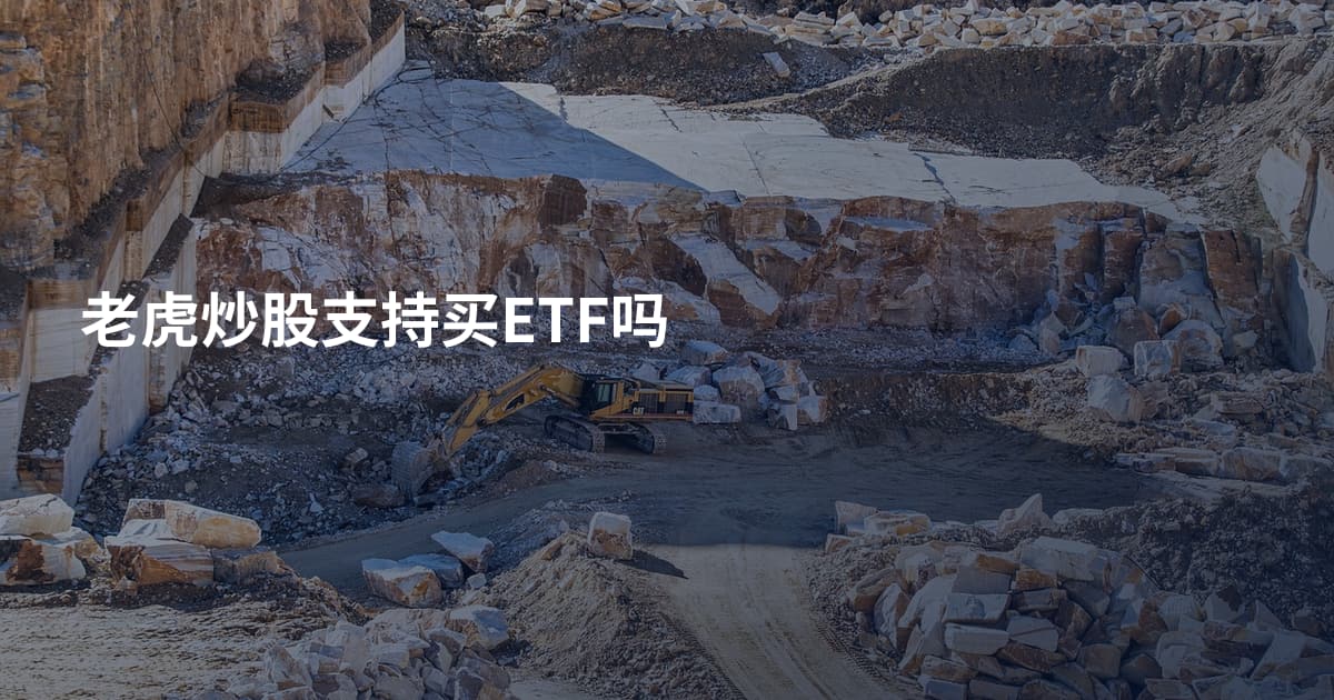 老虎炒股支持买ETF吗