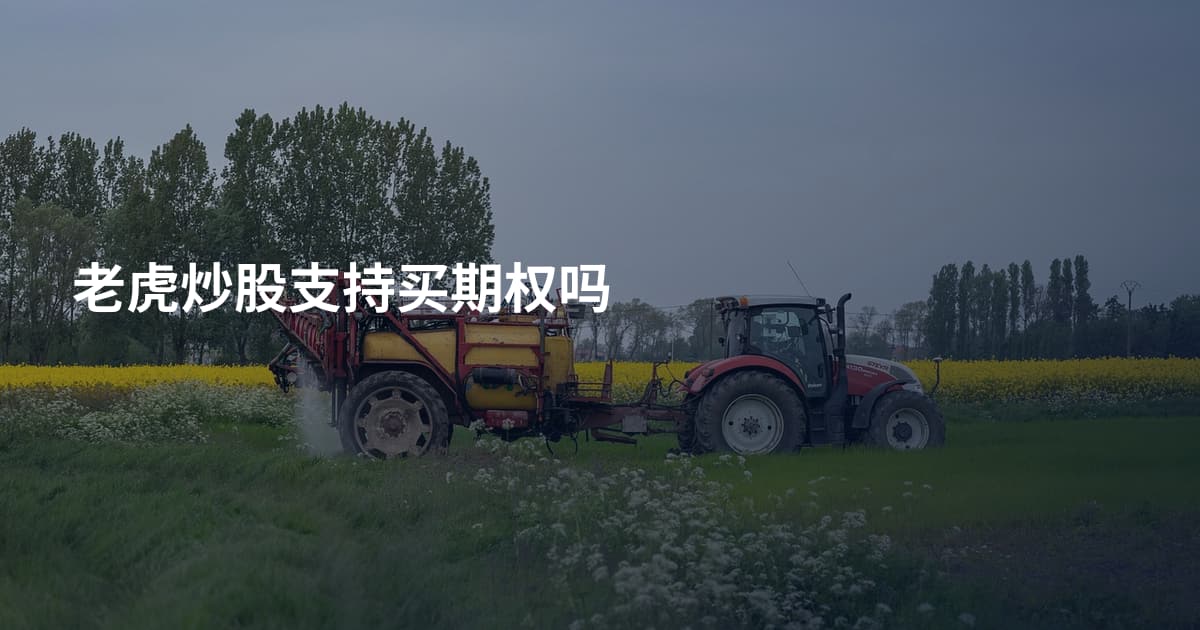 老虎炒股支持买期权吗