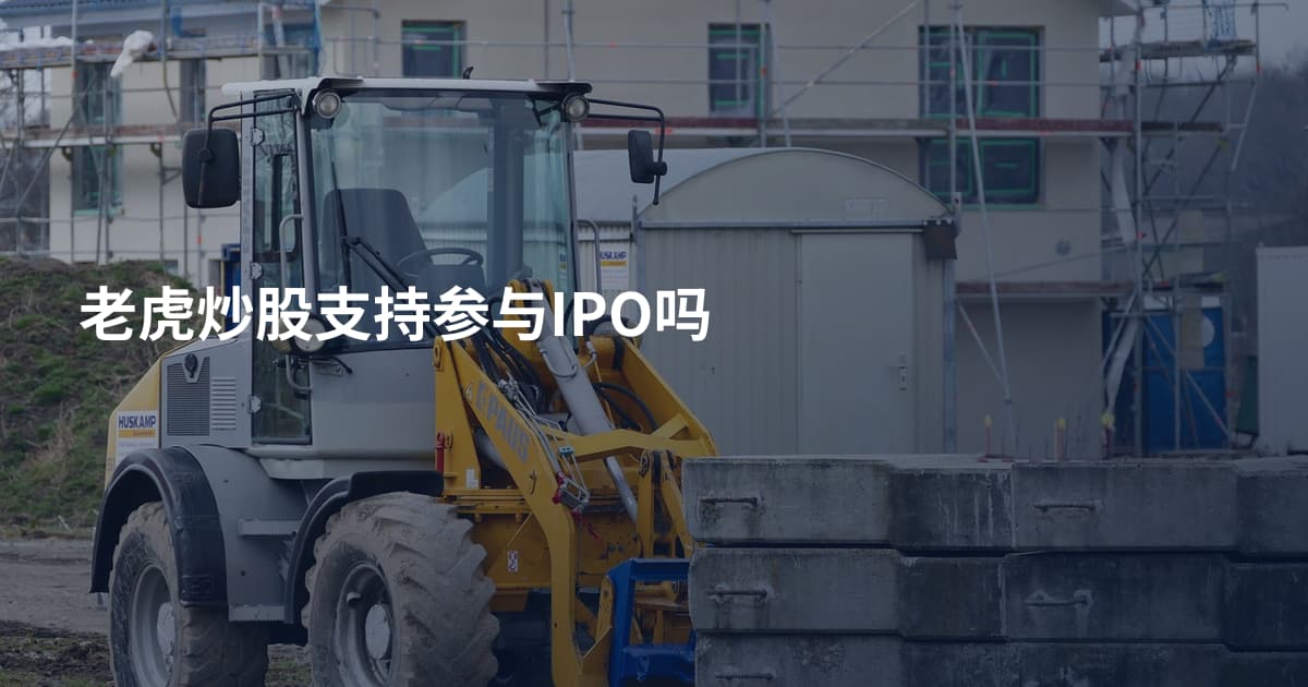 老虎炒股支持参与IPO吗