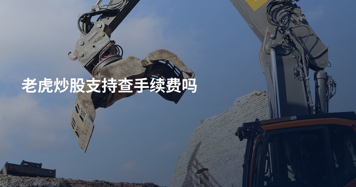 老虎炒股支持查手续费吗