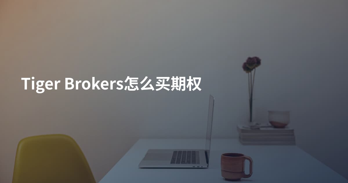 Tiger Brokers怎么买期权