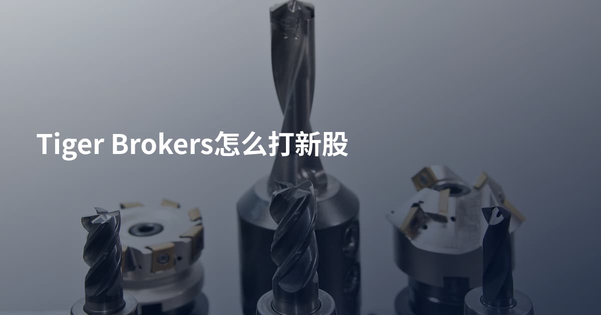 Tiger Brokers怎么打新股