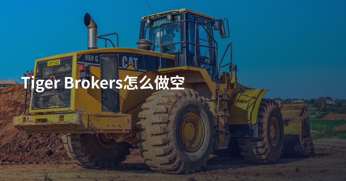 Tiger Brokers怎么做空