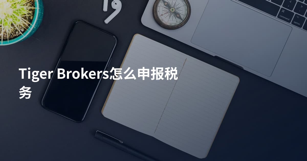 Tiger Brokers怎么申报税务