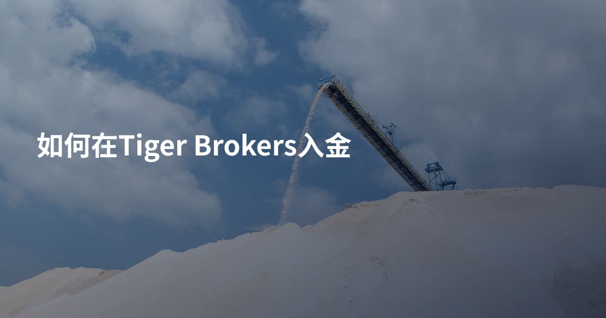 如何在Tiger Brokers入金