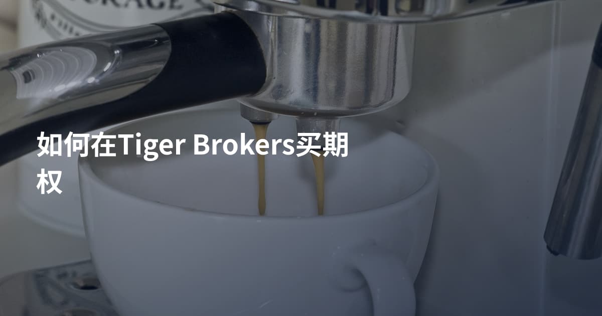 如何在Tiger Brokers买期权