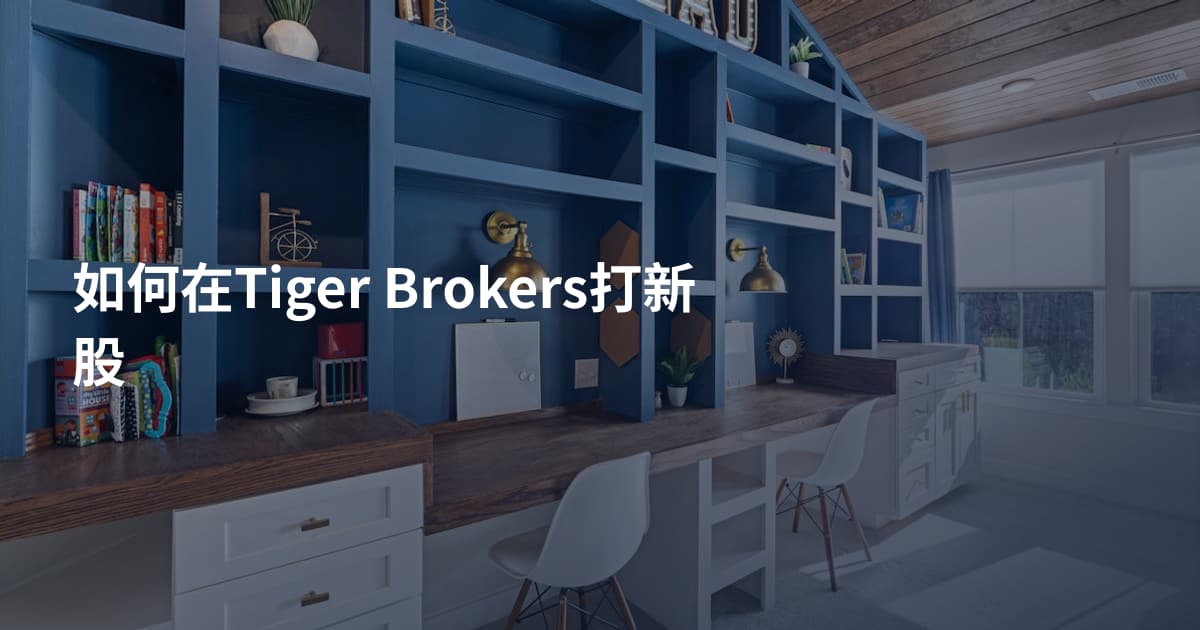 如何在Tiger Brokers打新股