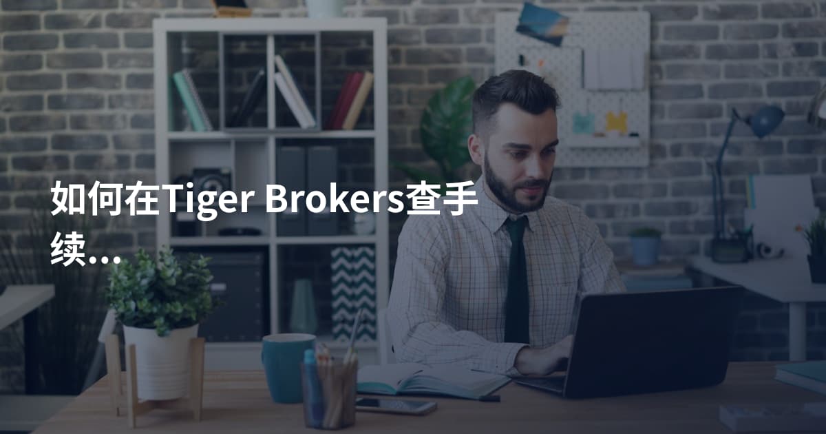 如何在Tiger Brokers查手续费