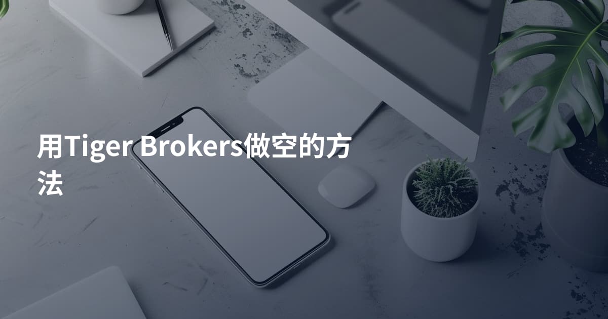 用Tiger Brokers做空的方法