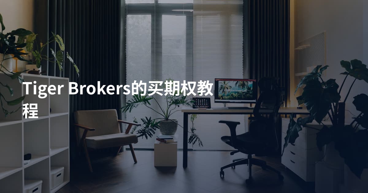 Tiger Brokers的买期权教程