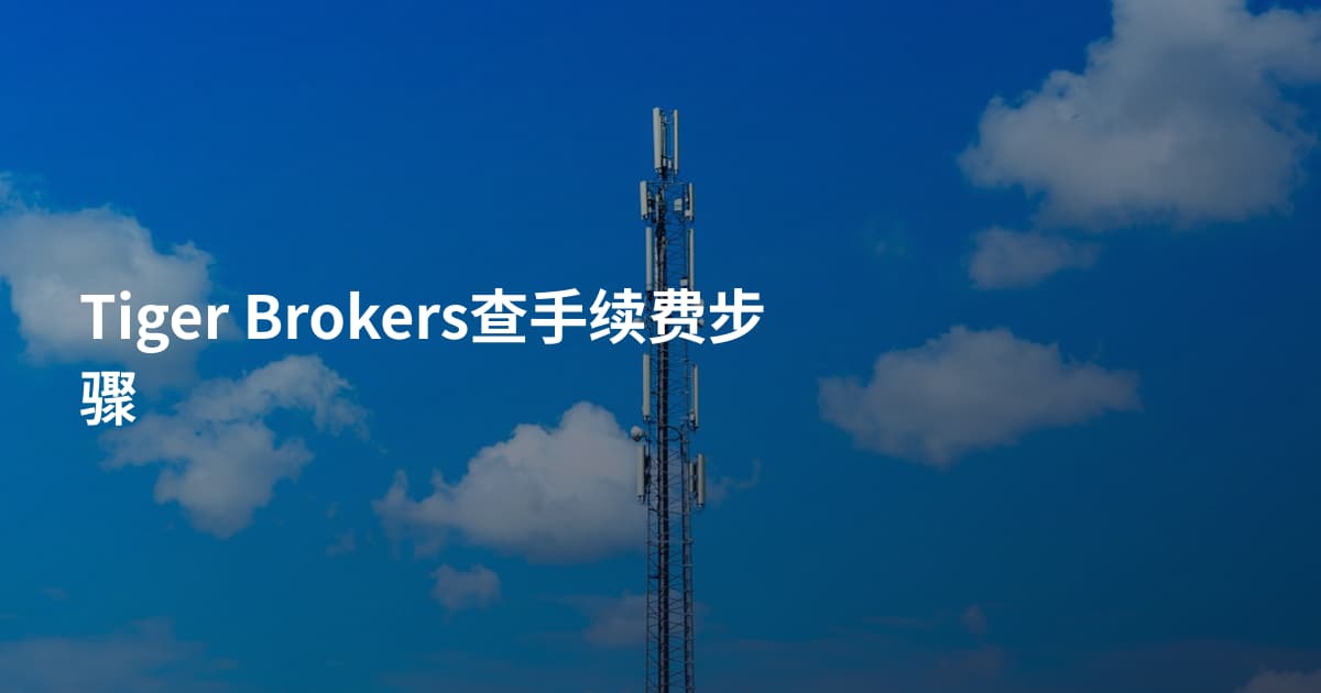 Tiger Brokers查手续费步骤
