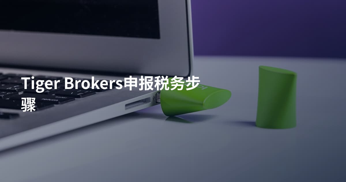 Tiger Brokers申报税务步骤