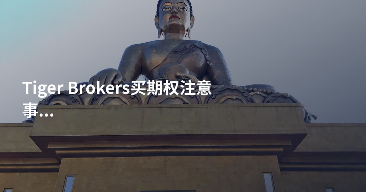 Tiger Brokers买期权注意事项