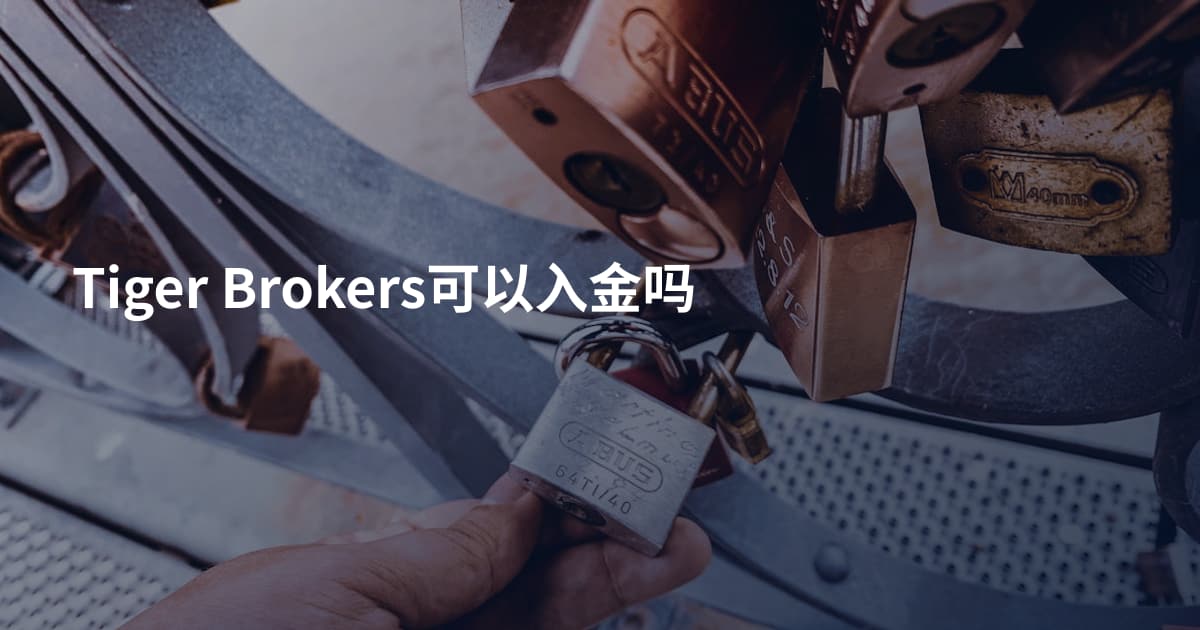 Tiger Brokers可以入金吗