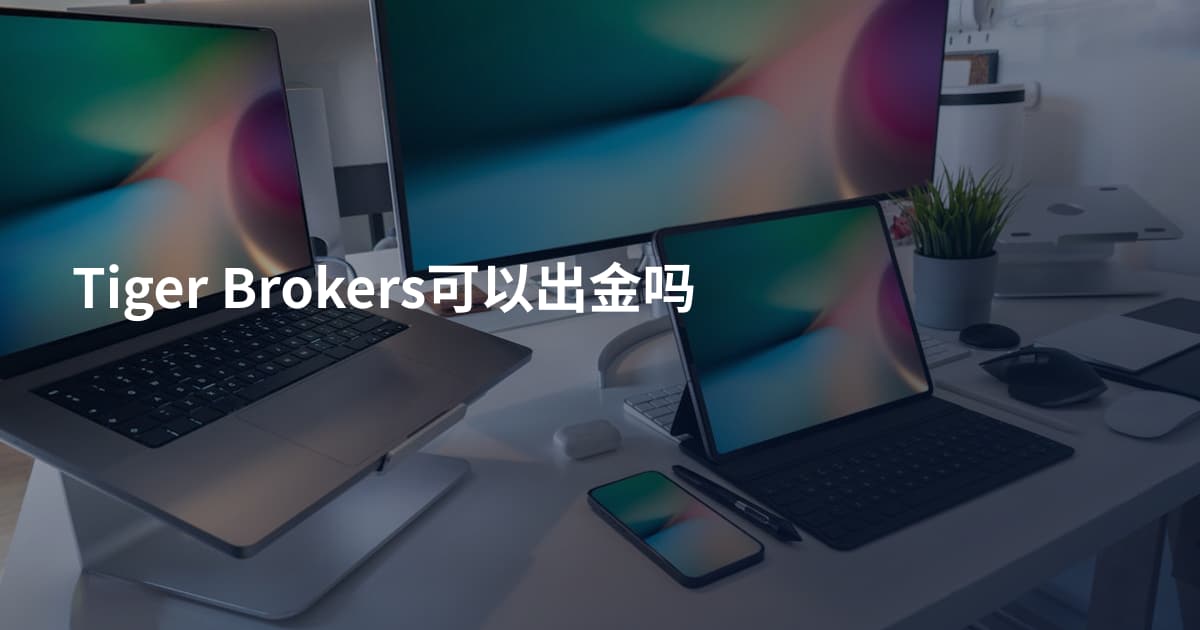 Tiger Brokers可以出金吗
