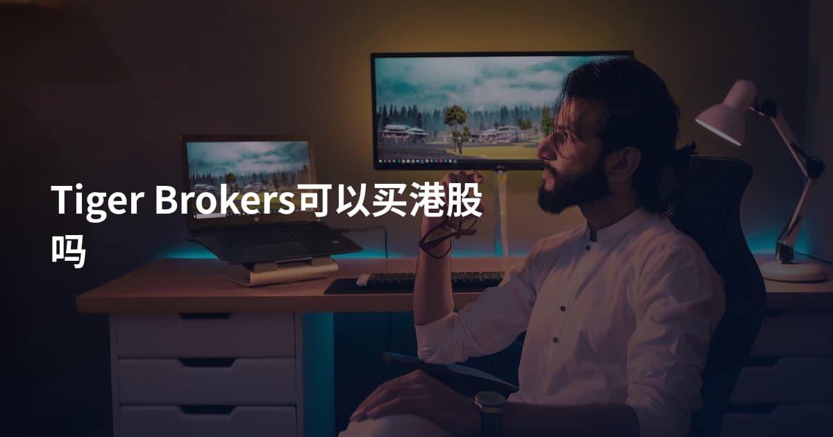 Tiger Brokers可以买港股吗