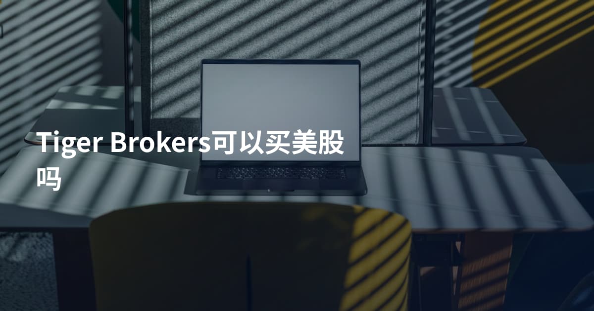 Tiger Brokers可以买美股吗