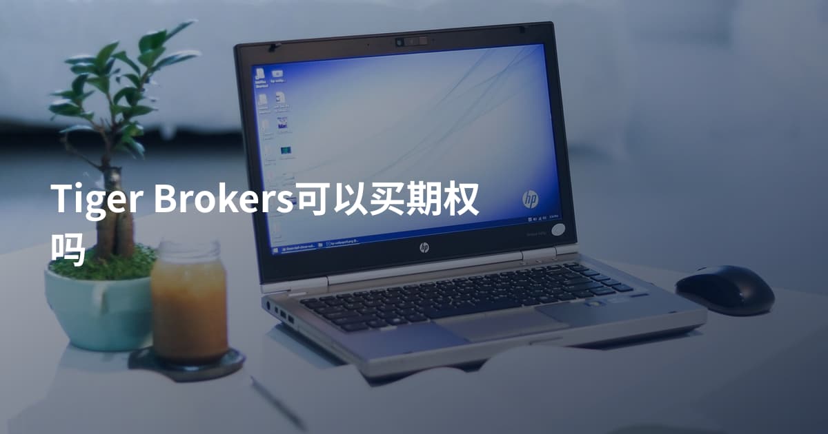 Tiger Brokers可以买期权吗