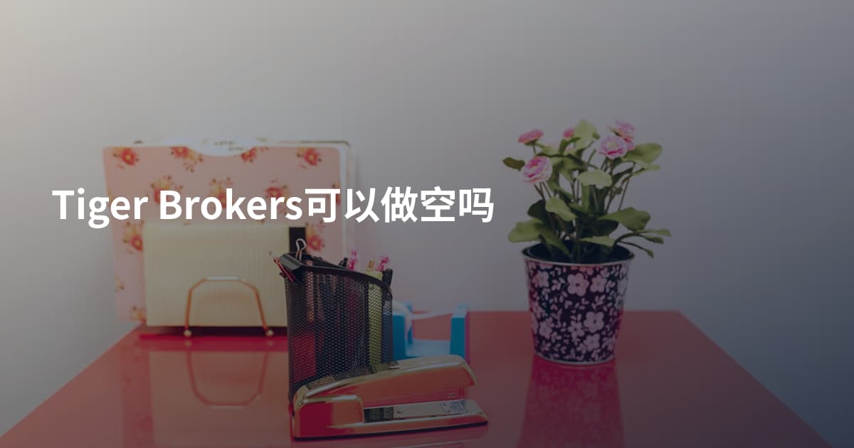 Tiger Brokers可以做空吗