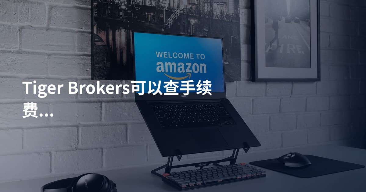 Tiger Brokers可以查手续费吗