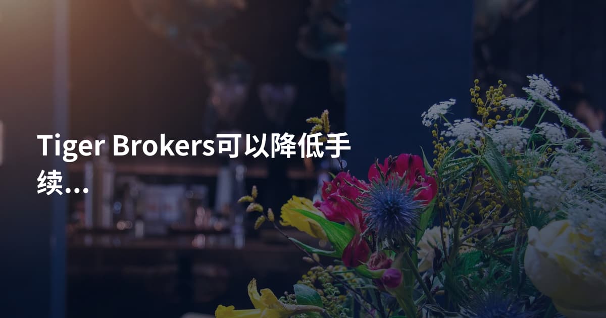 Tiger Brokers可以降低手续费吗