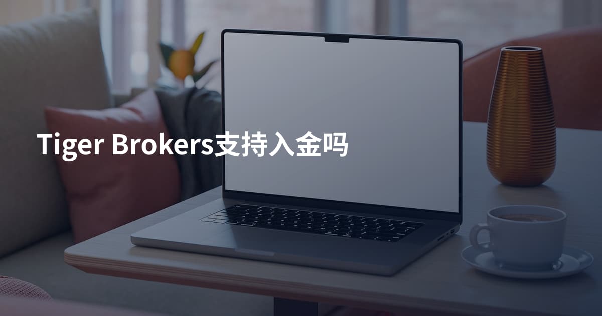 Tiger Brokers支持入金吗