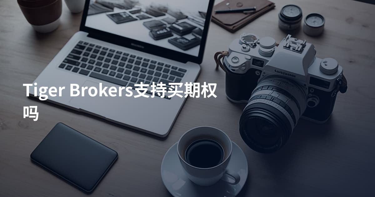 Tiger Brokers支持买期权吗