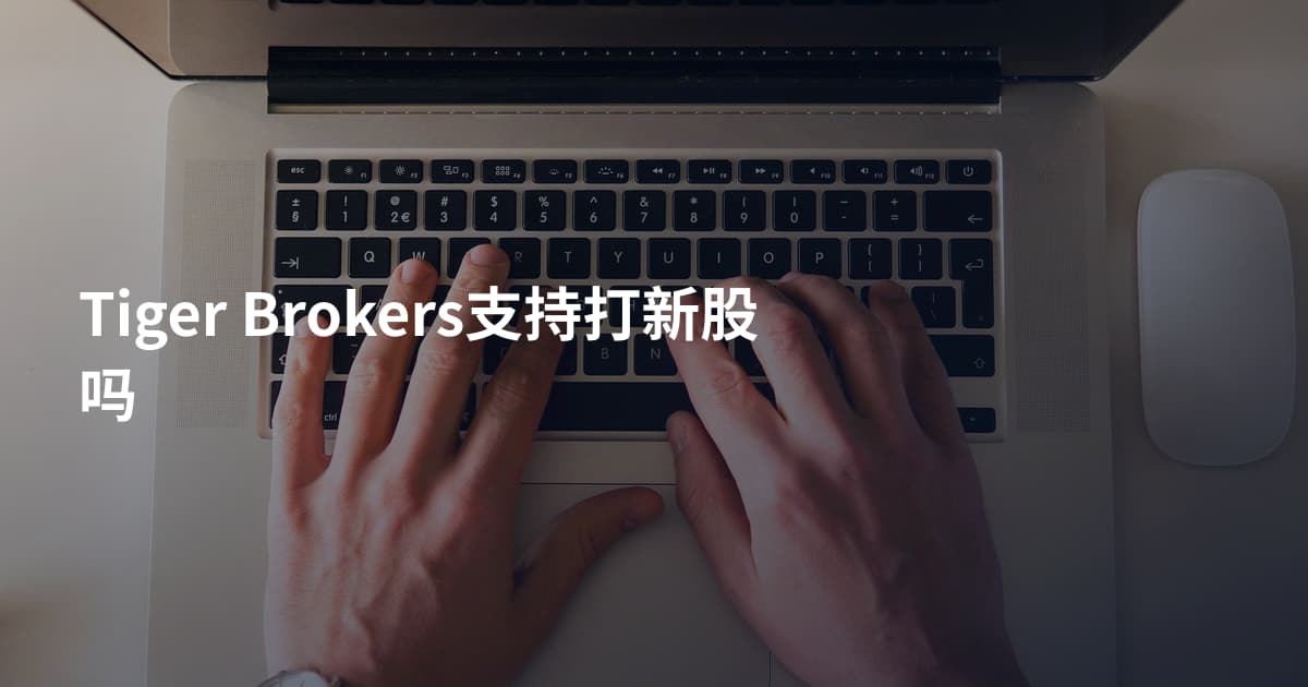 Tiger Brokers支持打新股吗