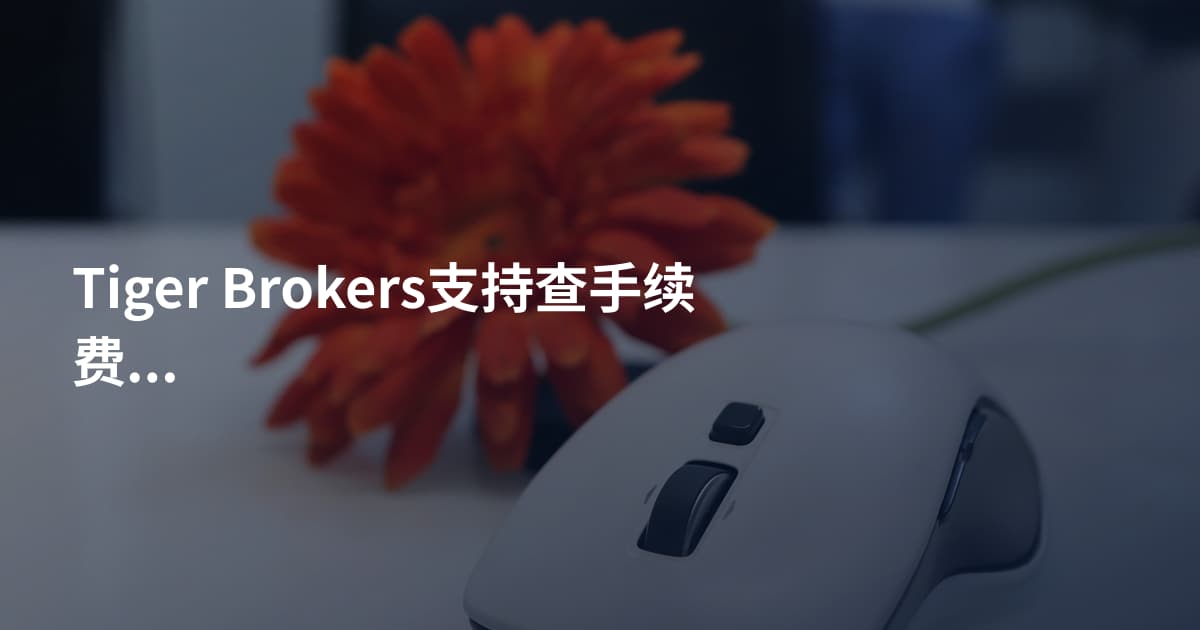 Tiger Brokers支持查手续费吗