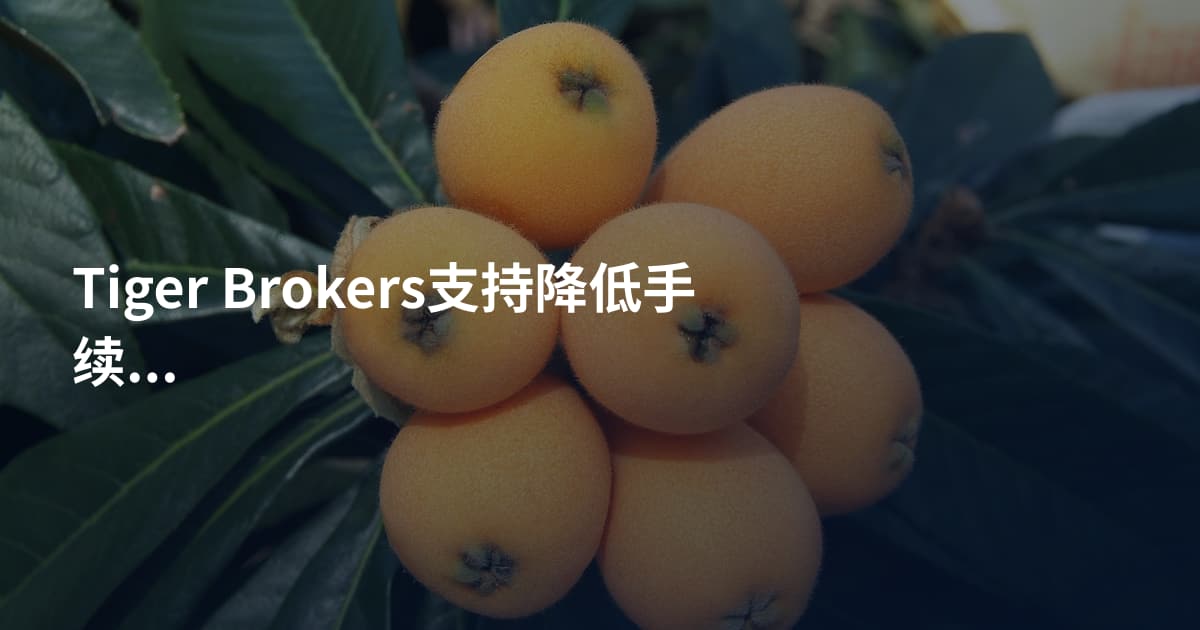 Tiger Brokers支持降低手续费吗