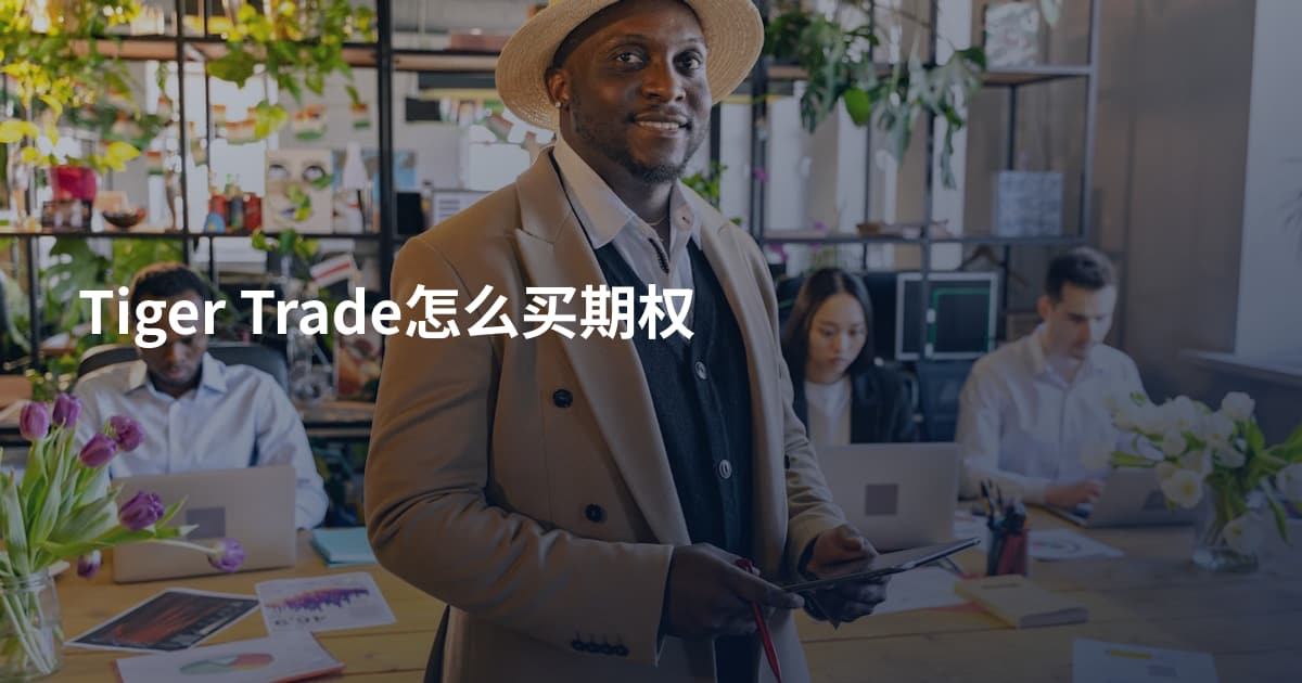 Tiger Trade怎么买期权