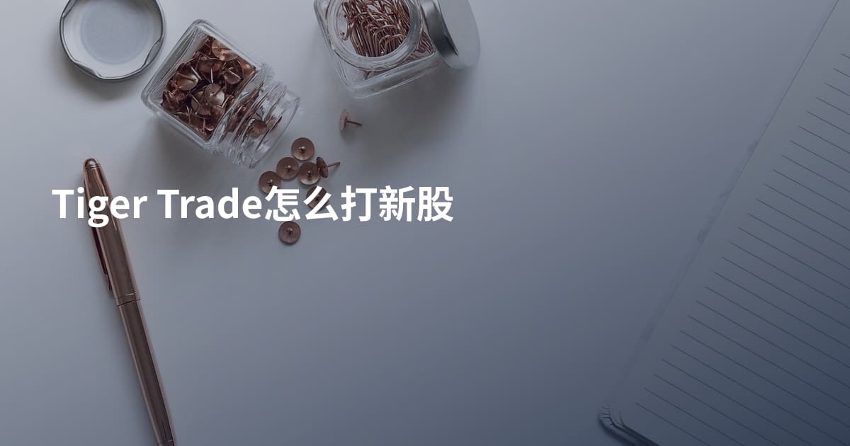 Tiger Trade怎么打新股