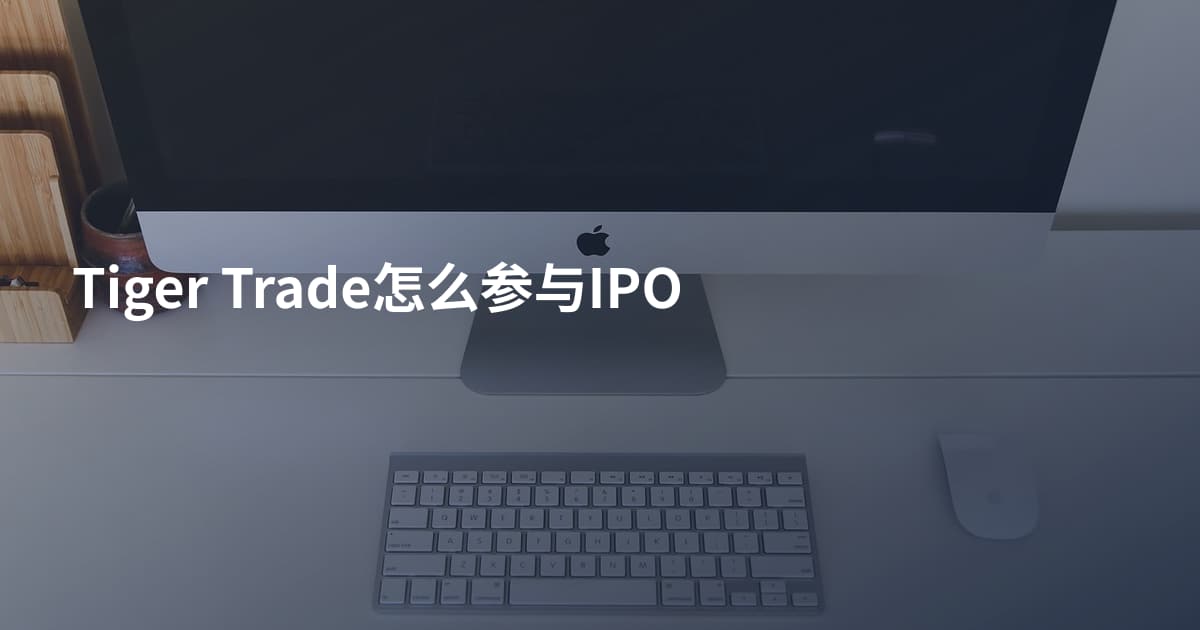 Tiger Trade怎么参与IPO