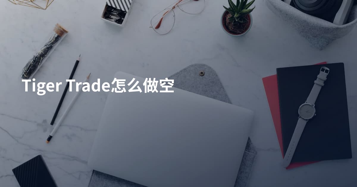 Tiger Trade怎么做空