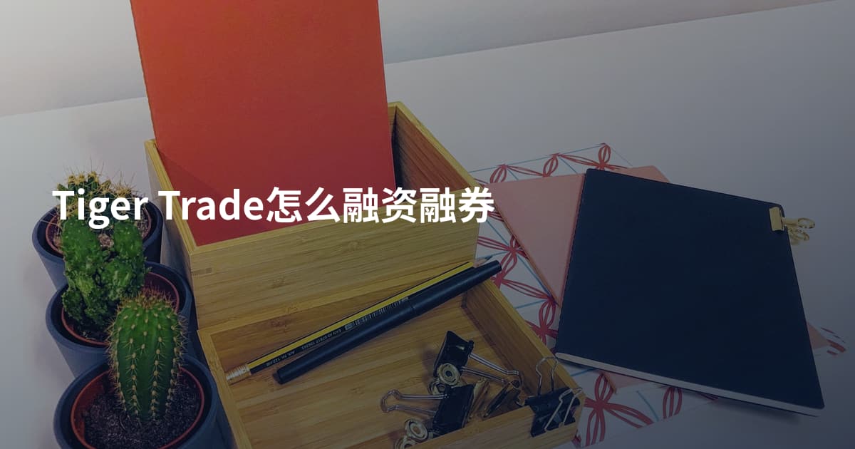 Tiger Trade怎么融资融券