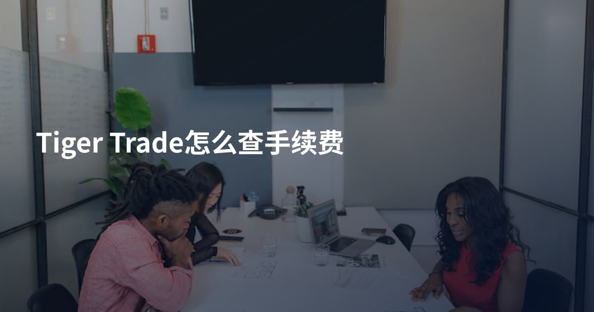 Tiger Trade怎么查手续费